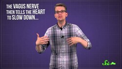 What Happens When You Faint? Instructional Video