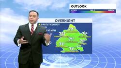 Dry and hot Sunday in Brooklyn ahead of stormy week News Clip