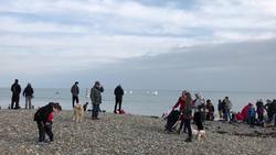 Annual New Year's day charity swim held in Co. Wicklow News Clip