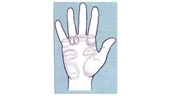 7 Mounts of the Hand in Palm Reading Instructional Video