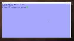 How to use the rev command: 2-Minute Linux Tips Instructional Video
