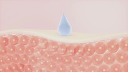 How Are Water And Other Fluids Digested In The Human Body? Instructional Video