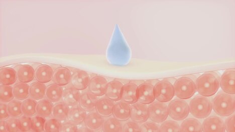 How Are Water And Other Fluids Digested In The Human Body?