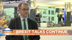 MEPs express concern EU Parliament will be left with no time to ratify Brexit deal if one is reached News Clip