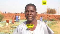Climate change threatens agriculture in Nigeria News Clip