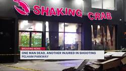 Police: Double shooting in Pelham Parkway leaves 1 man dead and another recovering Instructional Video