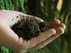 Suelo y rocas: ¿qué es la tierra? Instructional Video