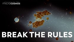 We Spilled Ink On Our Slides to See What Would Happen Instructional Video