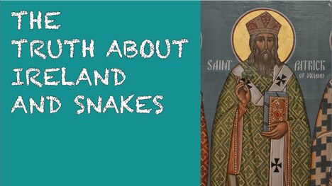 The Truth About Ireland and Snakes