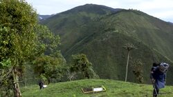 VOICED : La paz en Colombia alza vuelo en el nido de las FARC News Clip