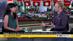 Disease-carrying ticks are showing up in greater numbers, earlier in B.C. News Clip