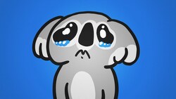 Why Do People Hate Koalas? Instructional Video