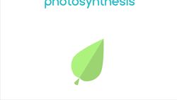 What Is The Carbon Cycle - Part 1| Environmental Chemistry Instructional Video