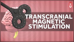 Transcranial Magnetic Stimulation: How Does that Work? Instructional Video