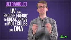 Can Plants Get Sunburned? Instructional Video