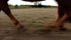 Measles on the Rise Instructional Video