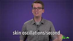 Why Do Dogs Shake to Dry Off? Instructional Video