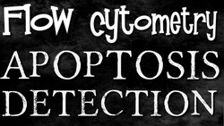Detect Apoptosis Using Flow Cytometry Analysis Instructional Video