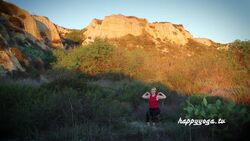 Midday Yoga Stress Buster Instructional Video