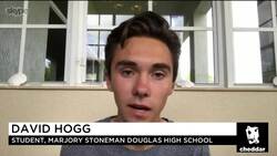 Parkland's David Hogg: NRA Lobbyists Are Cowards News Clip