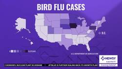 Bird Flu Spreading Across The Country, Detected In At Least 29 States News Clip