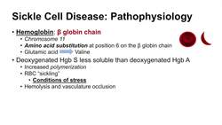 Sickle Cell Disease | Pathophysiology, Symptoms and Treatment Instructional Video