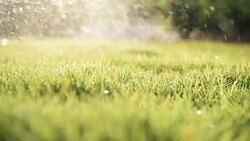 Sprinkler on the grass field Stock Footage