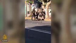 Chile unrest: Promised reforms fail to quell protests, strike News Clip