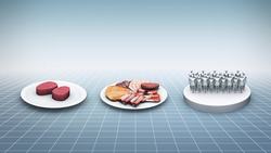 Study links red meat consumption to heart disease and early death Instructional Video