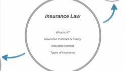 Insurance Law (Intro) Instructional Video