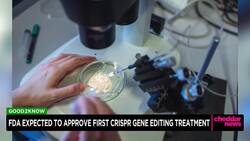 FDA Expected to Approve First CRISPR Gene-Editing Treatment News Clip