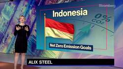 Indonesia's Pandjaitan: Don't Need 'Yo-Yo' on Energy Commitments News Clip