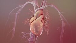 Angiogram Instructional Video