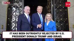 NATO Nations Take Fight Against Trump To New Level; Back Arab Plan For Gaza Opposed By US, Israel News Clip