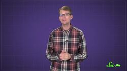 Why Don't Penguins' Feet Freeze? Instructional Video