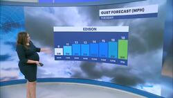 Warm and humid in New Jersey; possible afternoon pop-up isolated thundershowers News Clip