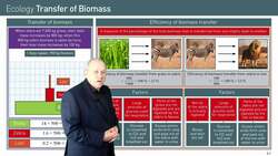 Efficiency of Biomass Transfer in Trophic Levels Instructional Video