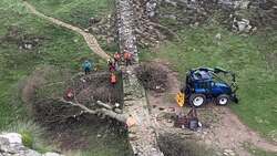 Felled Sycamore Gap tree removed by crane News Clip