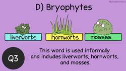 Before the Bell Biology: Plant Structure and Diversity Instructional Video