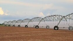 Pivot sprinkler system irrigating crops. Irrigation pivot system watering agriculture field in 4K 60fps Stock Footage