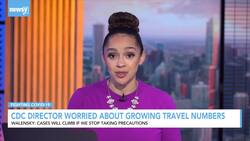 CDC Director Worried About Growing Travel Numbers News Clip