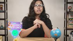 What's My Property Instructional Video