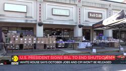 US Government Shutdown Ends After Record 43 Days News Clip