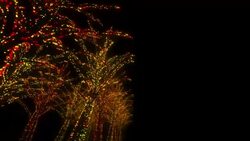 Neon Tree illumination Stock Footage