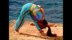 STEADY NOW! Instructional Video