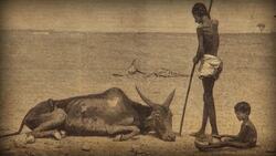 Drought and Famine: Crash Course World History Instructional Video