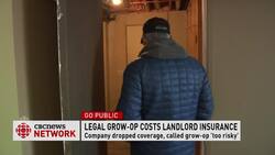 Legal pot grow-op leaves landlord without insurance News Clip