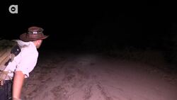 Giant Tarantula Shows Its Fangs! Instructional Video