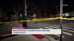 NYPD: Man critically injured in Cypress Hills hit-and-run Instructional Video