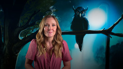 La Lechuza: The Shape-Shifting Witch-Owl Instructional Video